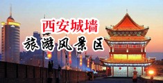 美女的逼插免费中国陕西-西安城墙旅游风景区