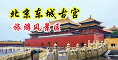 把鸡巴插逼里使劲操啊啊啊视频中国北京-东城古宫旅游风景区
